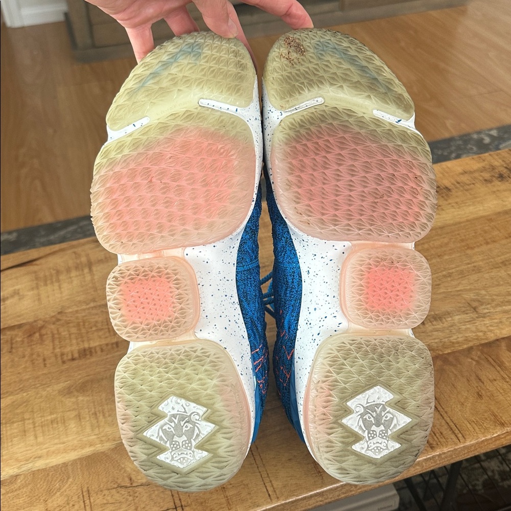 Nike LeBron 15 Zoom + Max Air setup - Picture 5 of 7